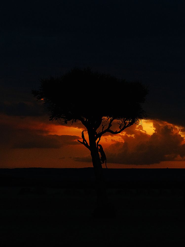 Фотография автора Anand Kumar