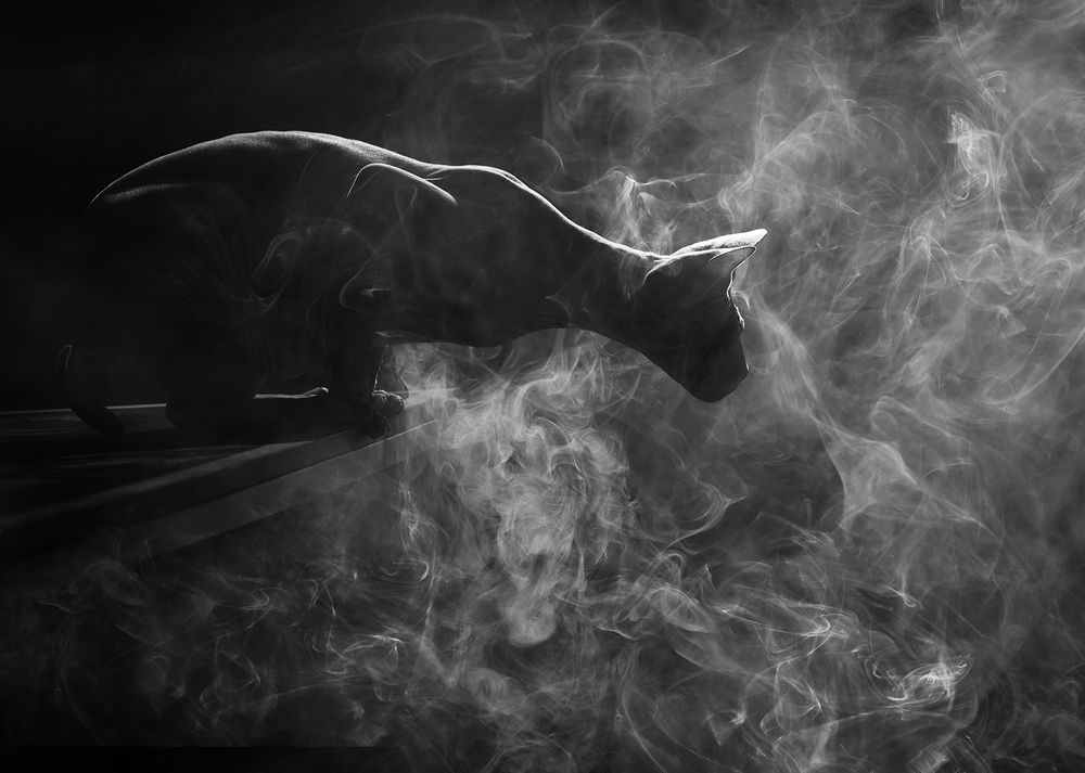 Photograph by Alexander Sviridov
