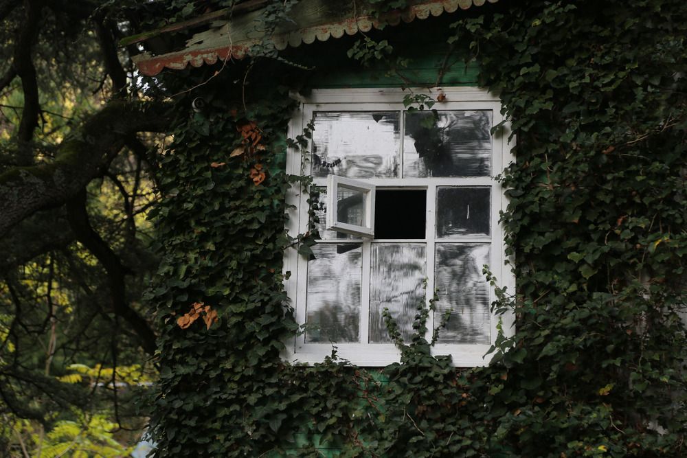 Photograph by Ksenia Sinitskaja