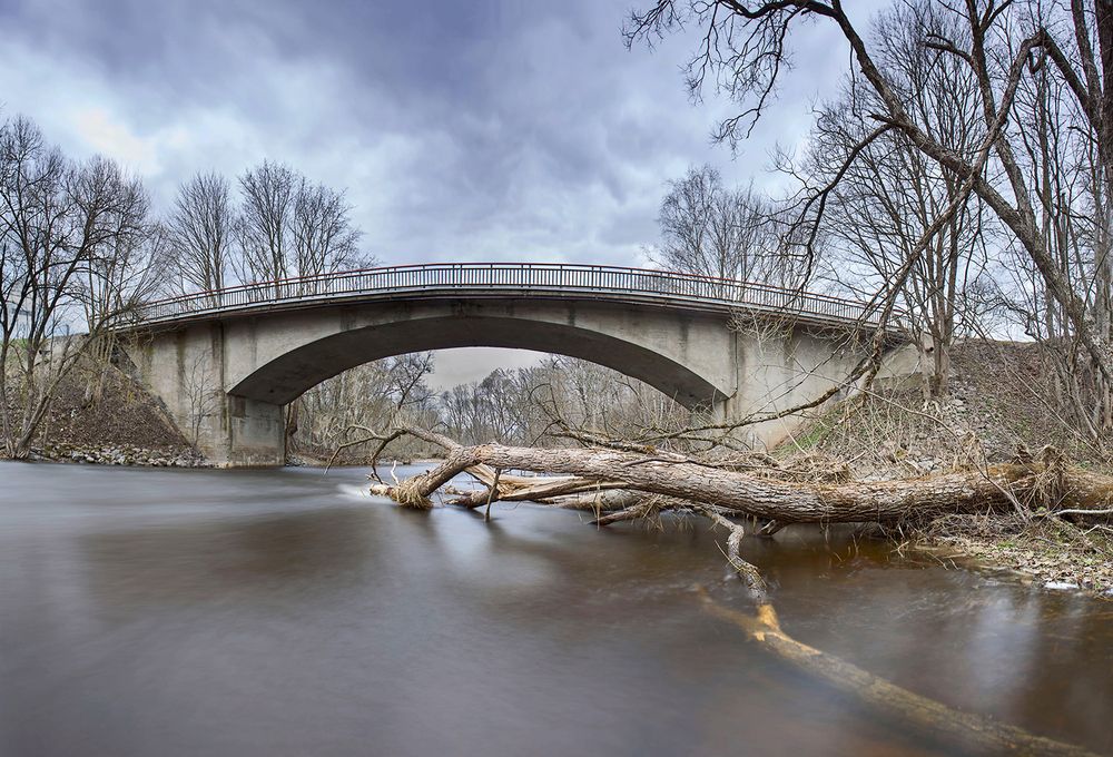 Фотография автора Eugenijus Rauduve