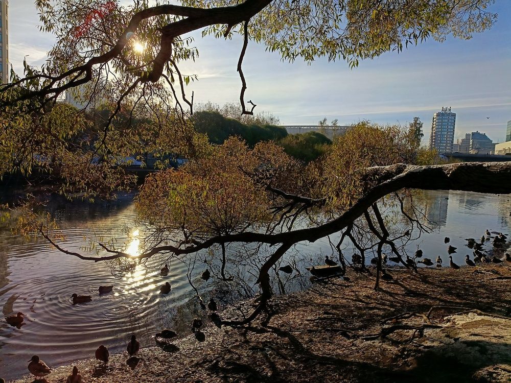 Photograph by Наталия Акимова