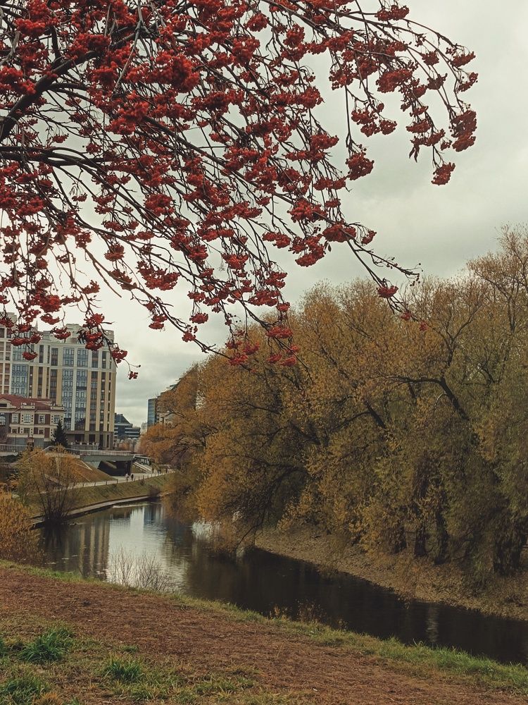 Photograph by Наталия Акимова