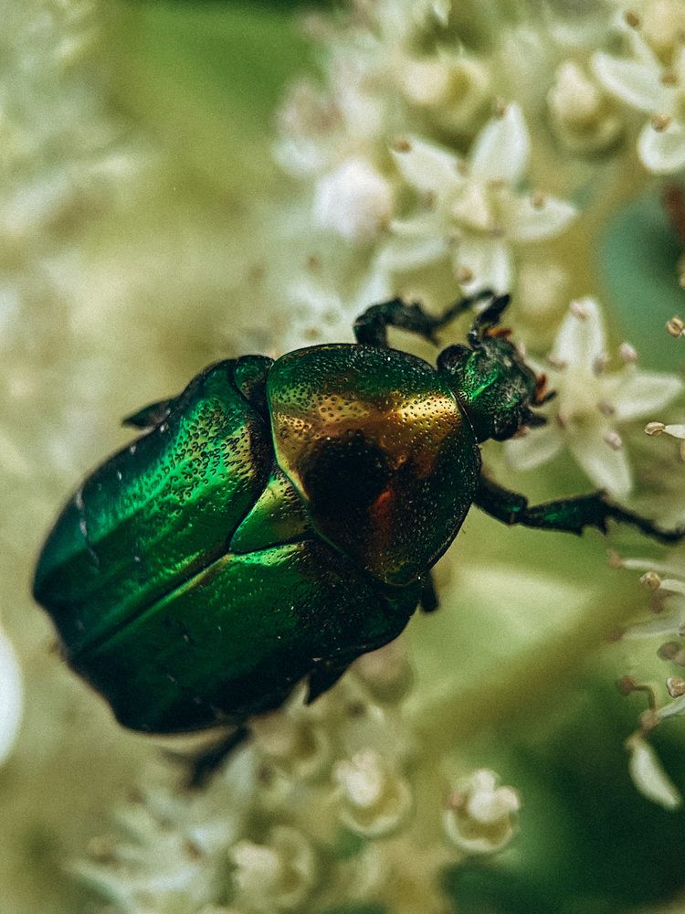 Фотография автора VICTORIA KAZAKOVA