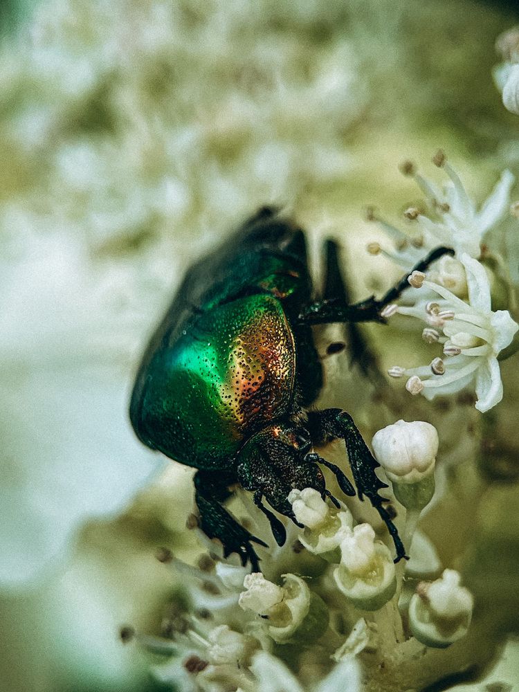 Фотография автора VICTORIA KAZAKOVA