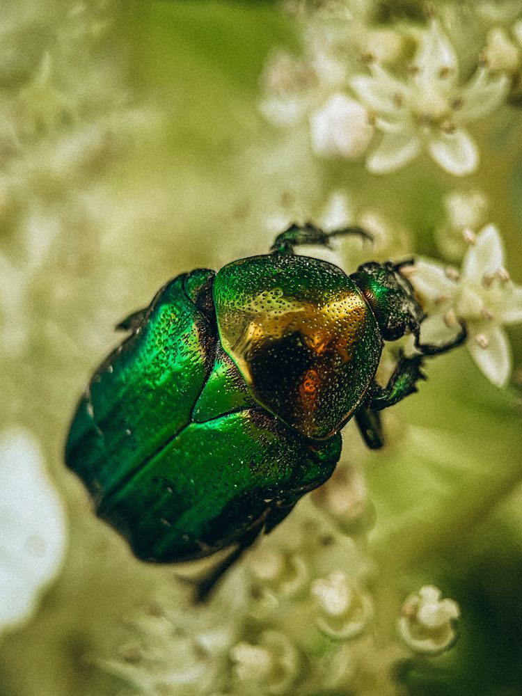 Фотография автора VICTORIA KAZAKOVA