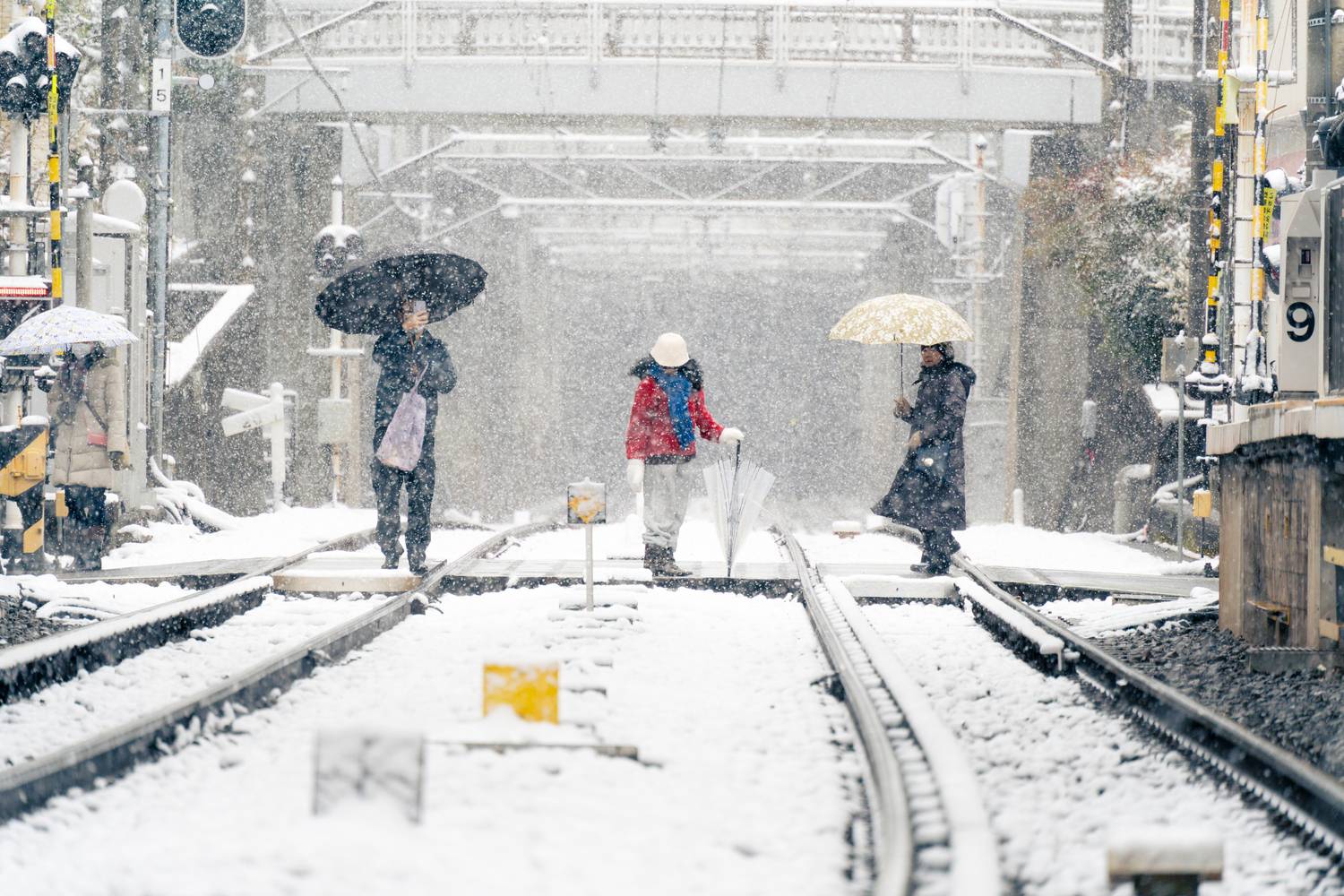 Magical snowfall in Tokyo