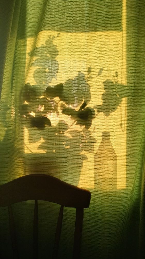 Photograph by Darya Dolinina