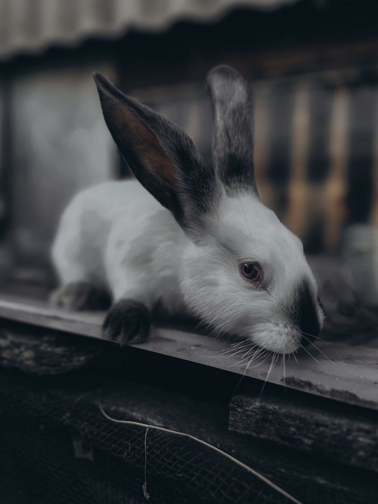 Photograph by Ксения Гулькова