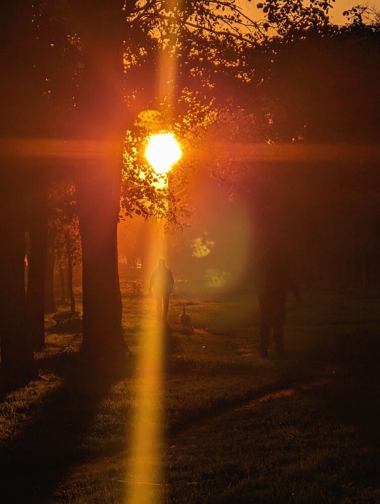 Photograph by Анна Чадова
