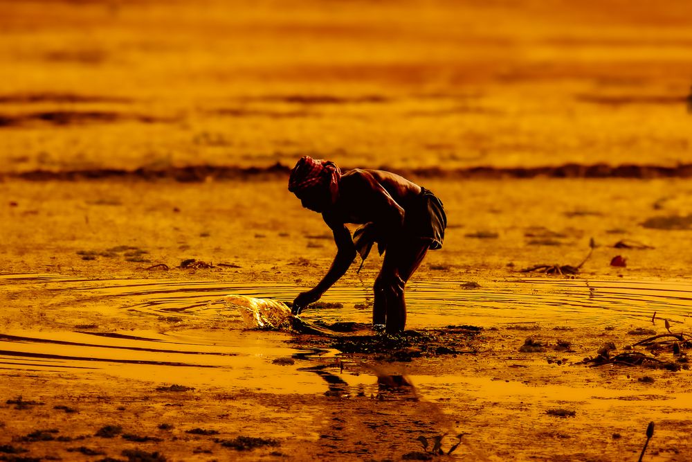 Photograph by Tanusri RoyChowdhury