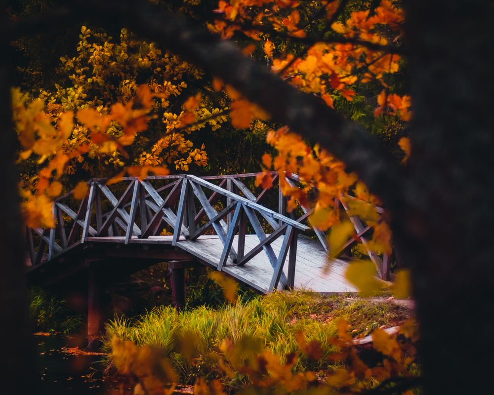 Photograph by Nikolai Nikolin