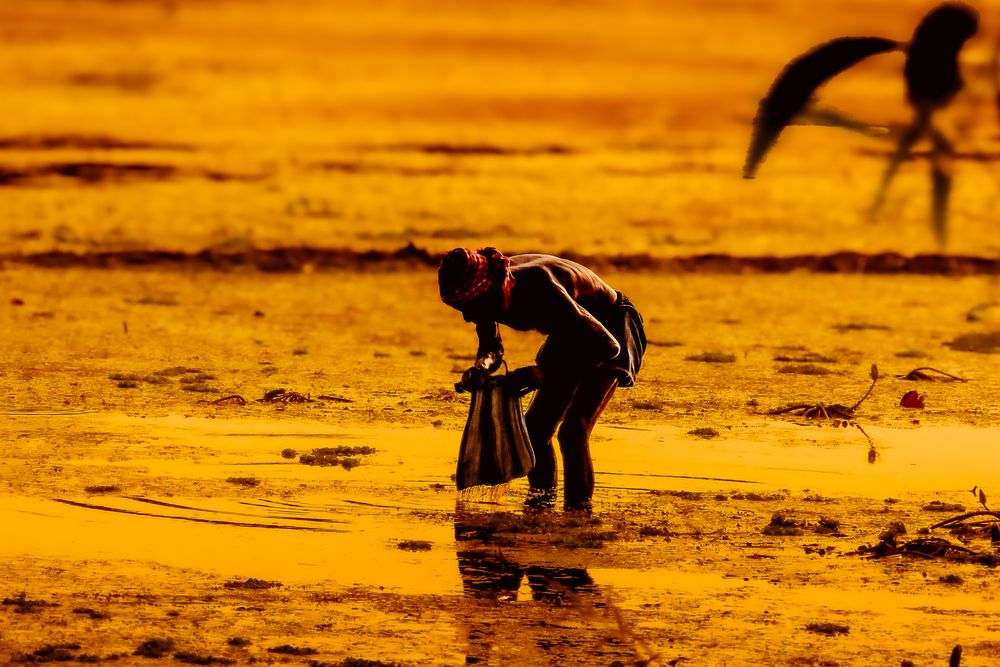 Photograph by Tanusri RoyChowdhury