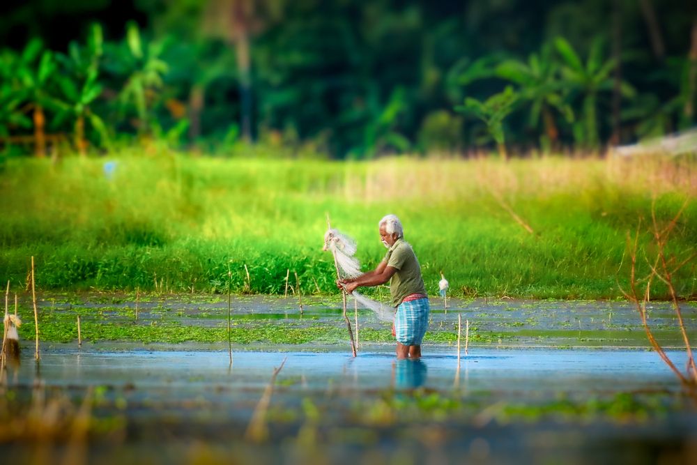 Photograph by Tanusri RoyChowdhury
