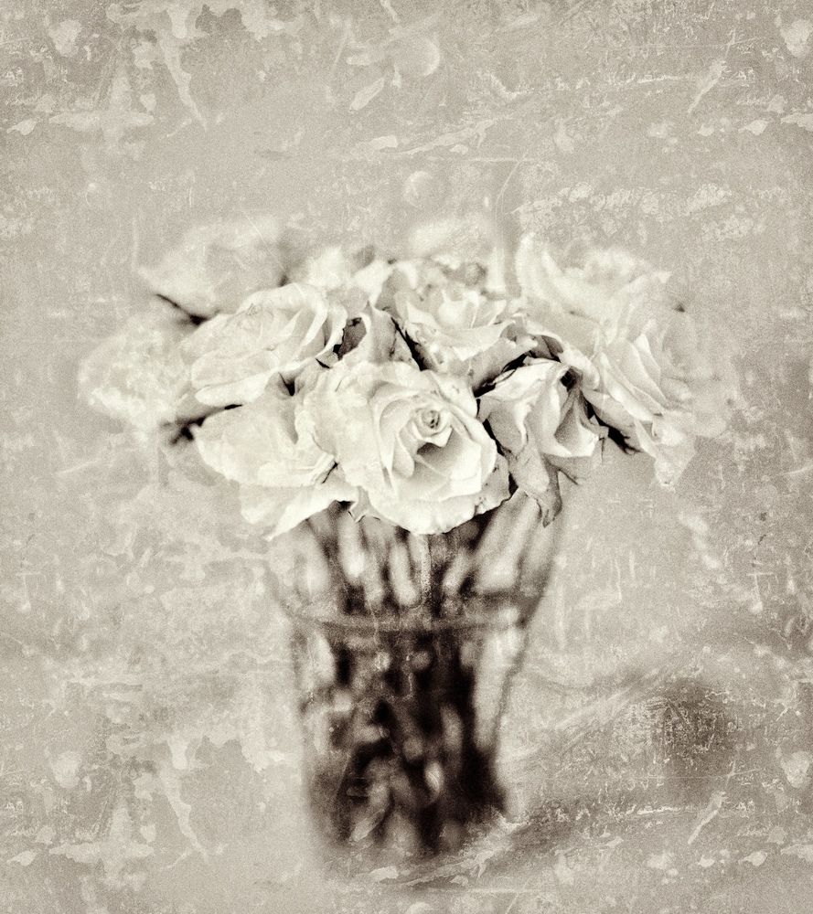 Photograph by Шарова Ольга