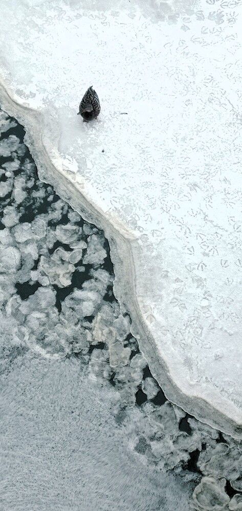 Photograph by Михаил Тиханович