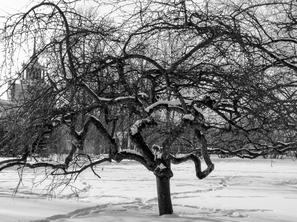 Photograph by Наталья Буталова