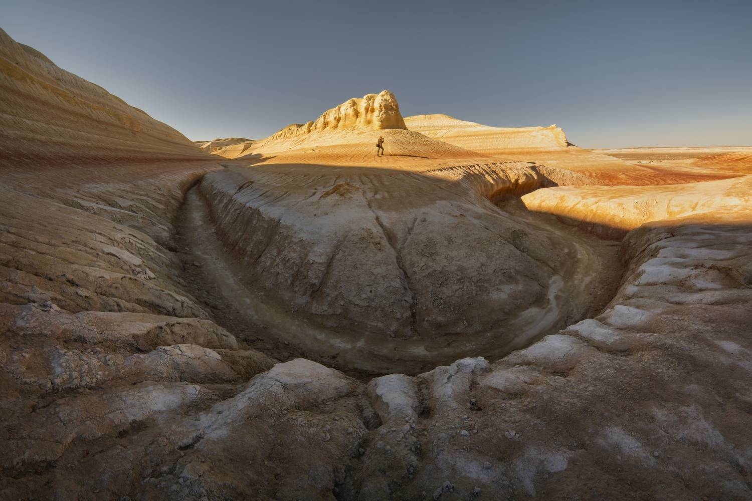 Фотография #13385876