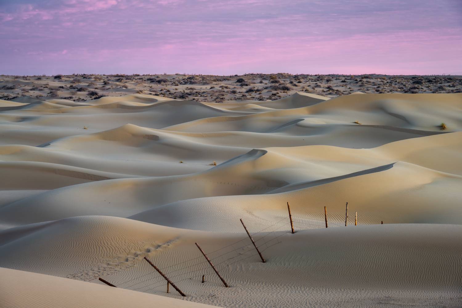 Фотография #13385885