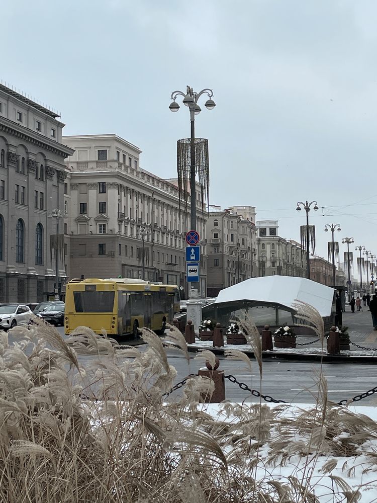 Photograph by Светлана Савина