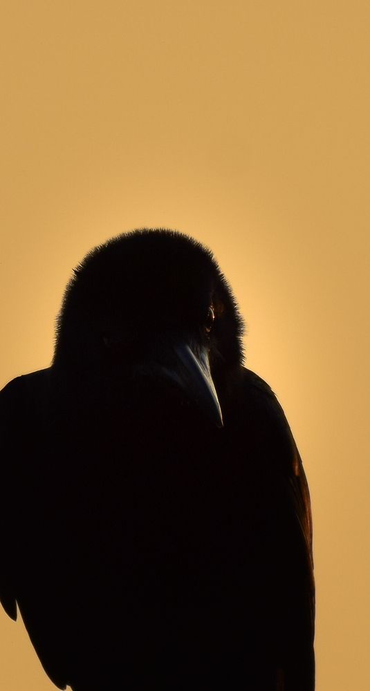 Photograph by Anandapadmanabhan S