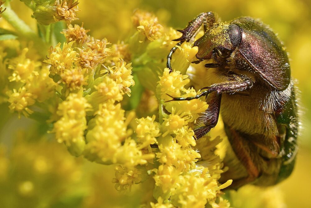 Photograph by Корнейчук Игорь