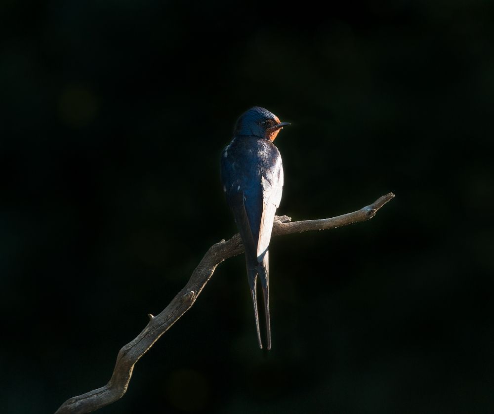 Photograph by Алексей Юденков