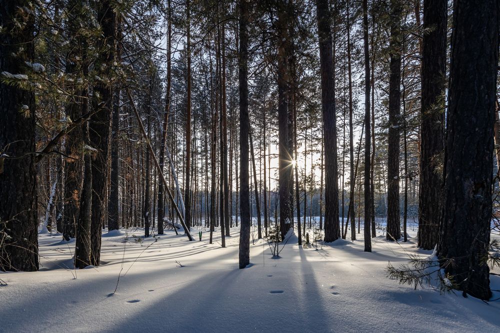 Photograph by Сергей Ларин