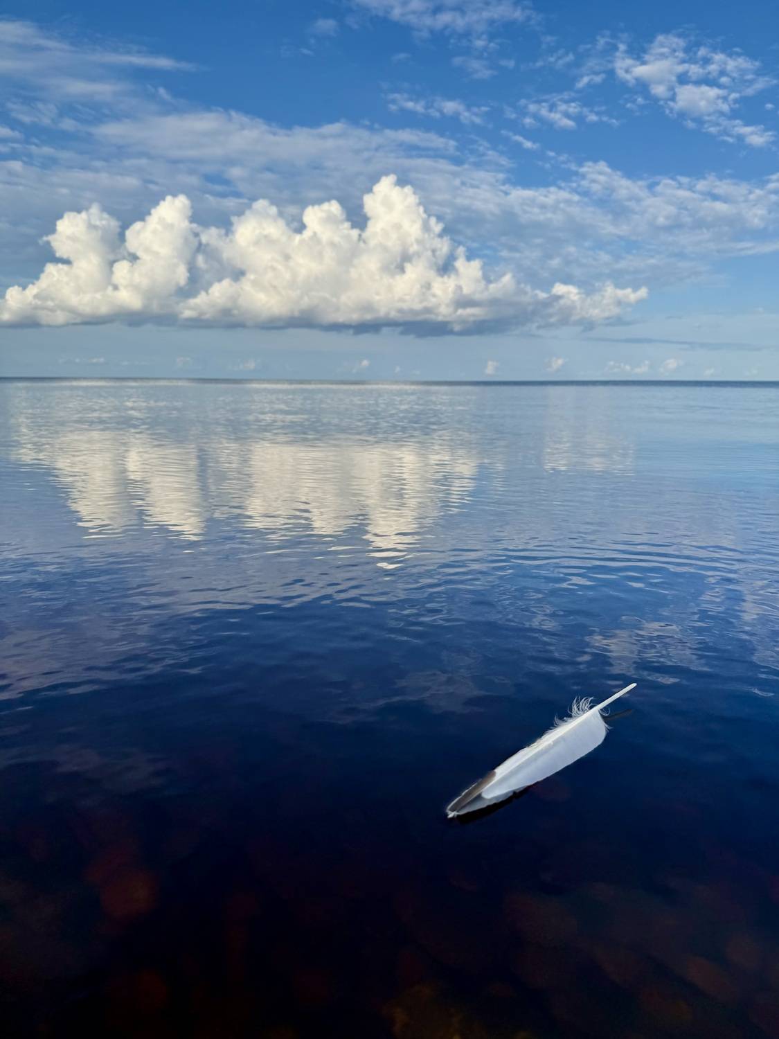 Тишь и гладь