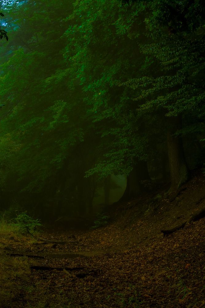 Photograph by Daniel Randýsek