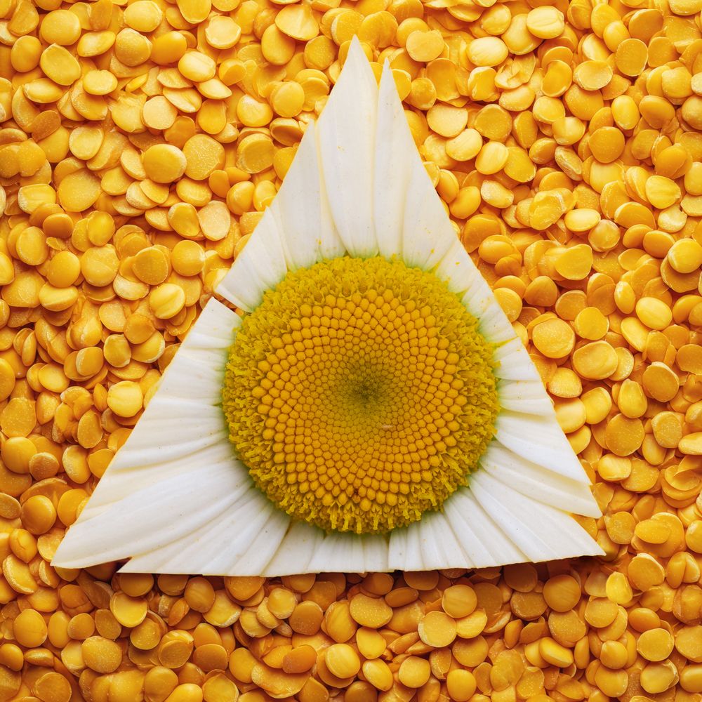 Photograph by Алёна Ивочкина