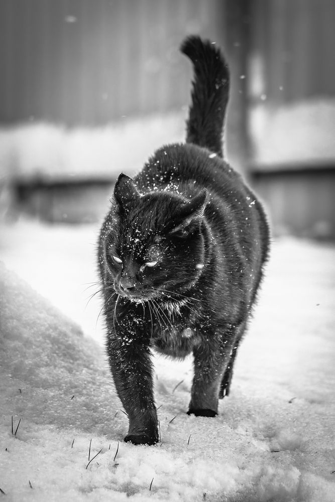 Photograph by Хабаров Сергей