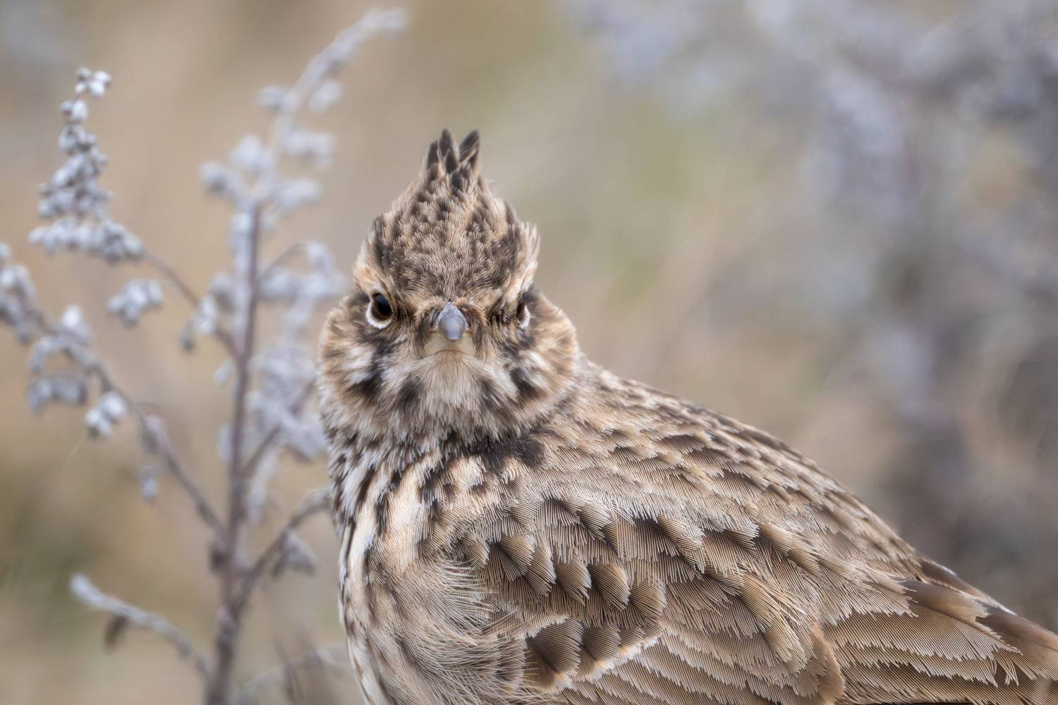 Фотография #13386195