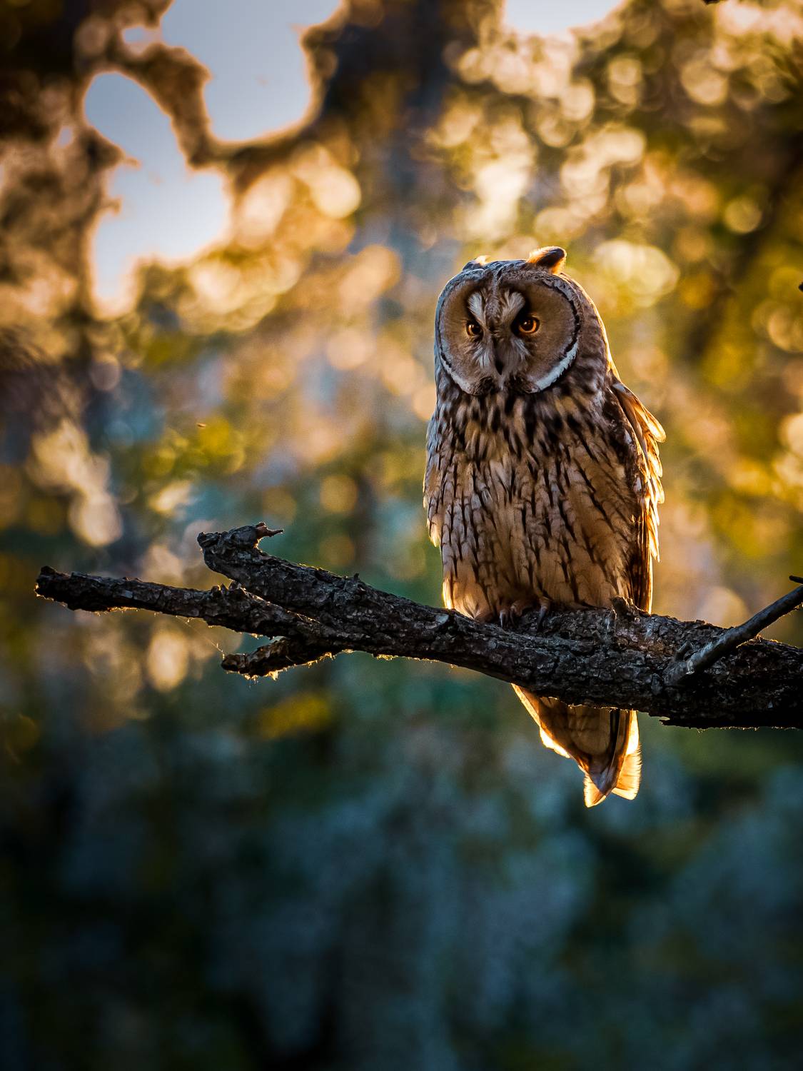 Фотография #13386196