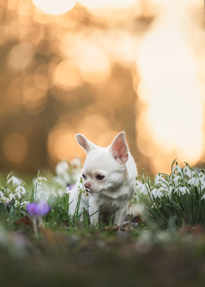 Photograph by Julia Laatz