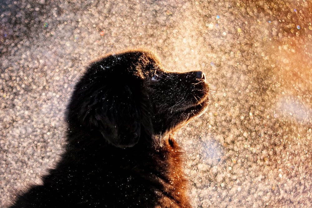 Photograph by Оксана Серова