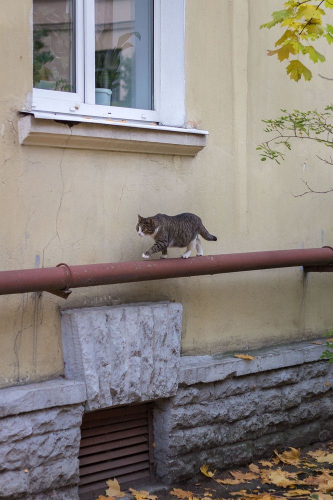 Photograph by Роман Гладкий