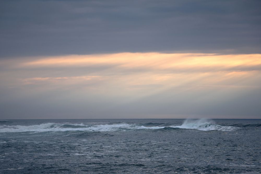 Photograph by Света Трифоненкова