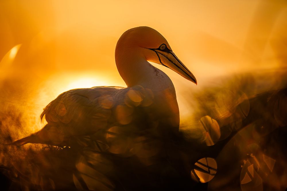 Фотография автора Patryk Kurc