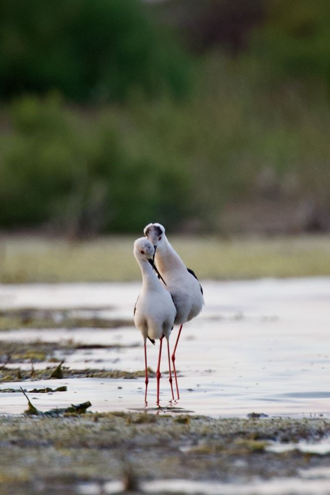 Photograph by Виктор Владимиров