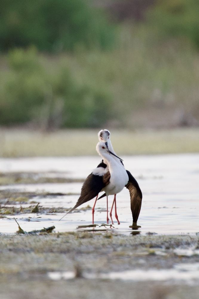 Photograph by Виктор Владимиров