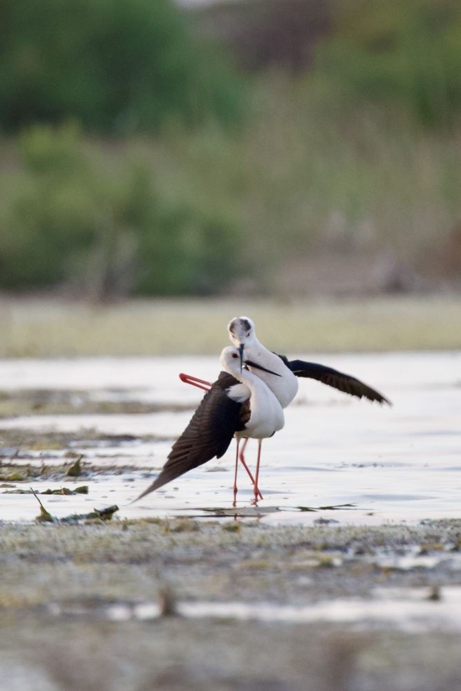 Photograph by Виктор Владимиров