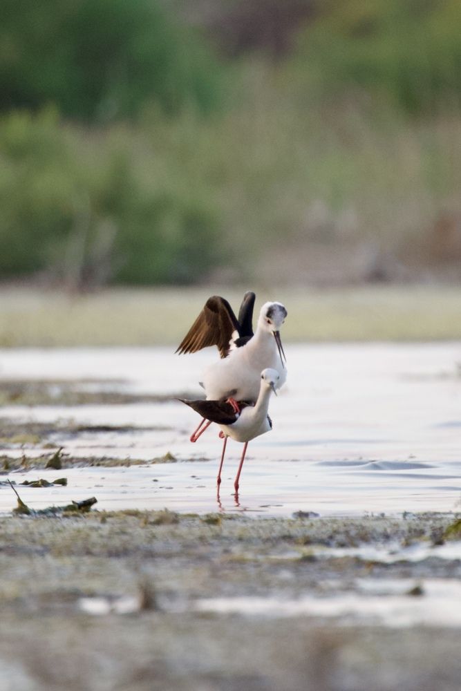 Photograph by Виктор Владимиров