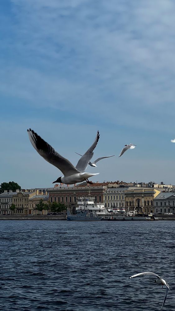 Фотография автора Яна Макеева