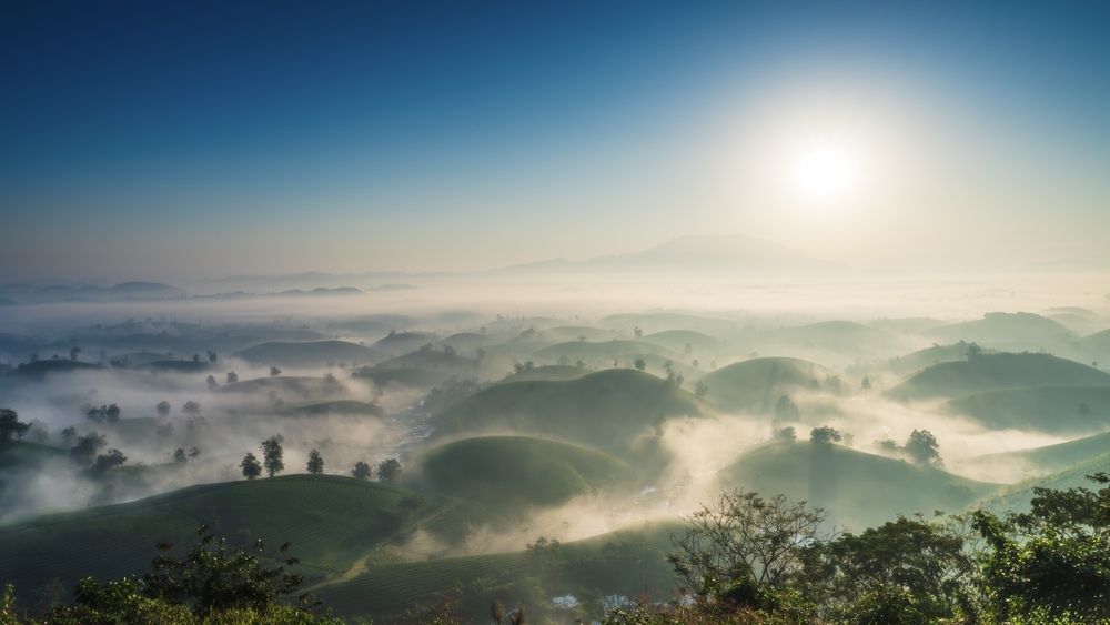 Morning Silence Over the Misty Hills