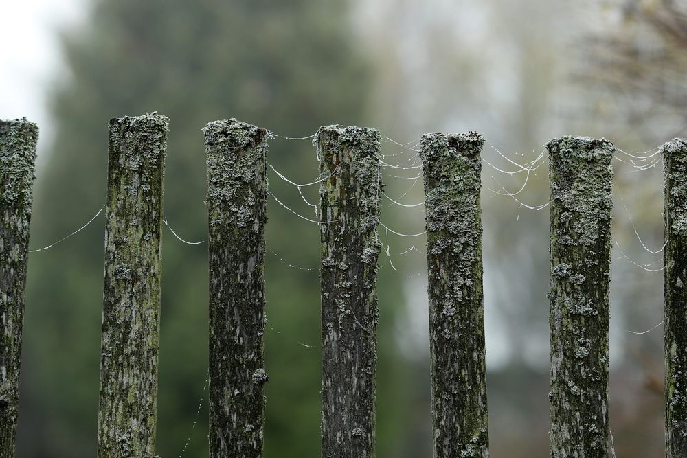 Photograph by Вера Сдвижкова