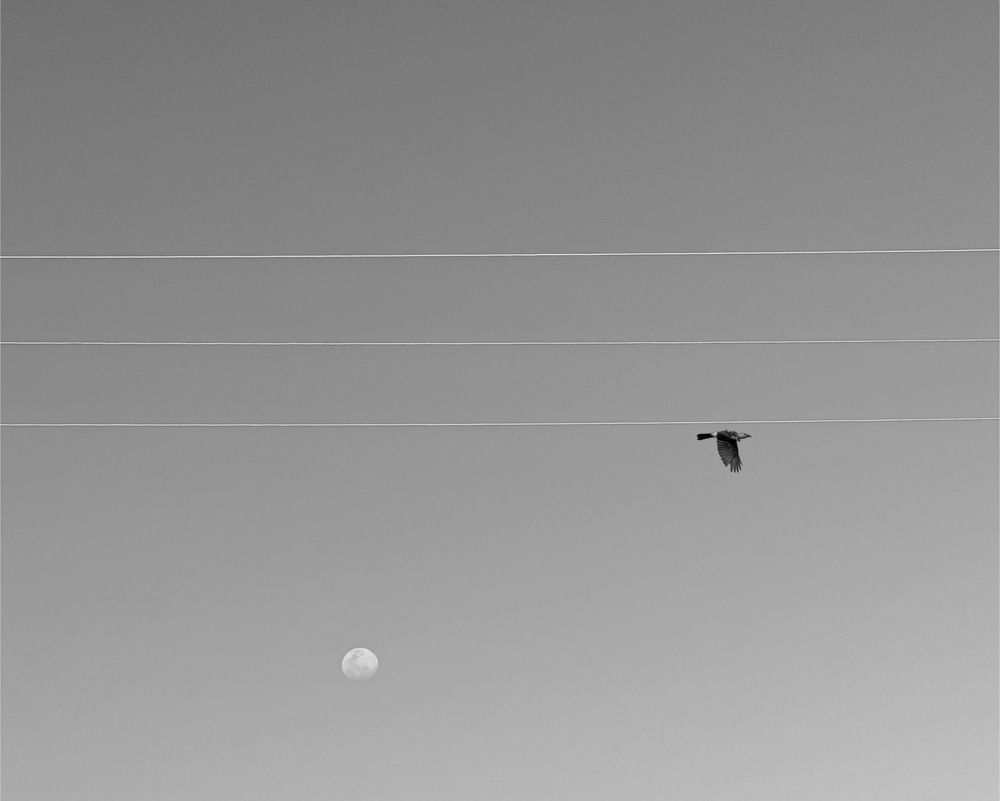 Photograph by Quoc Hung Nguyen