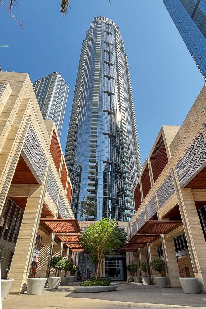 A tree in concrete jungle