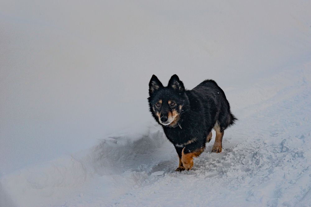 Photograph by Евгений Серебряков