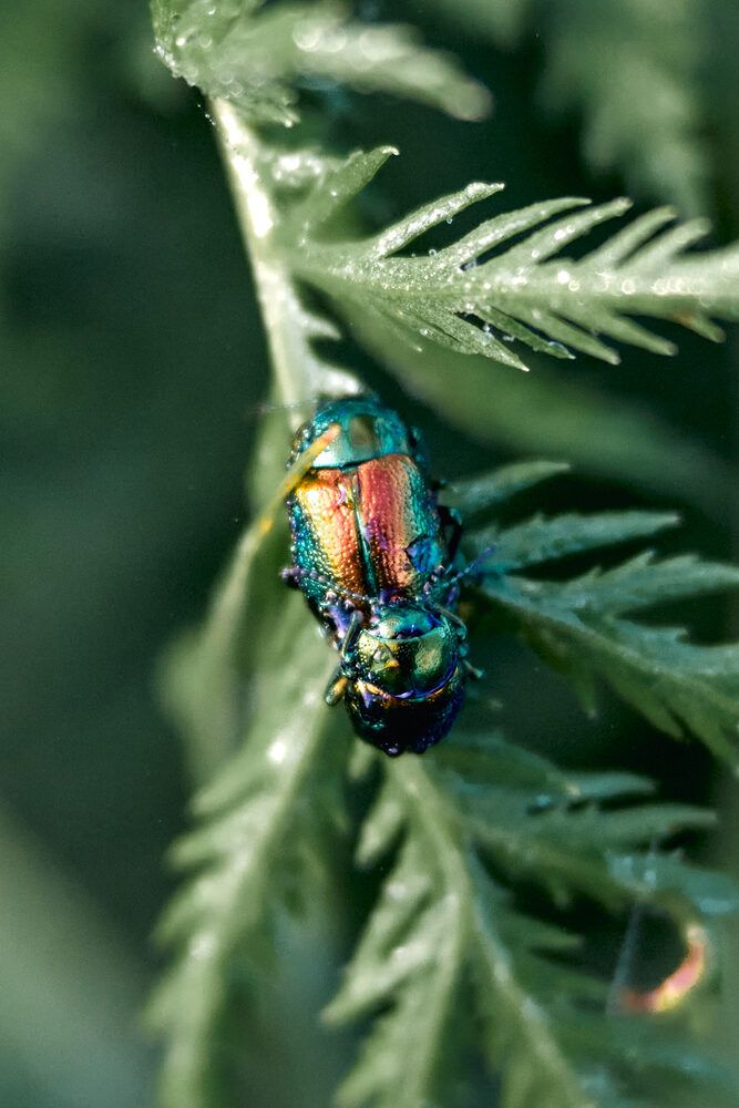 Photograph by Yuli Lerou