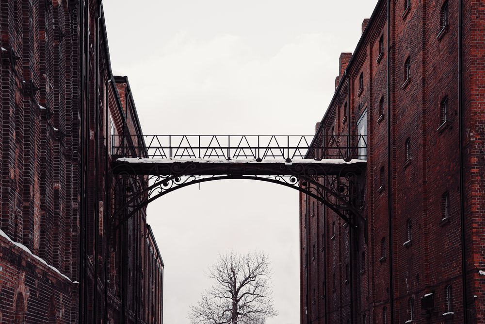 Фотография автора Гладков Сергей